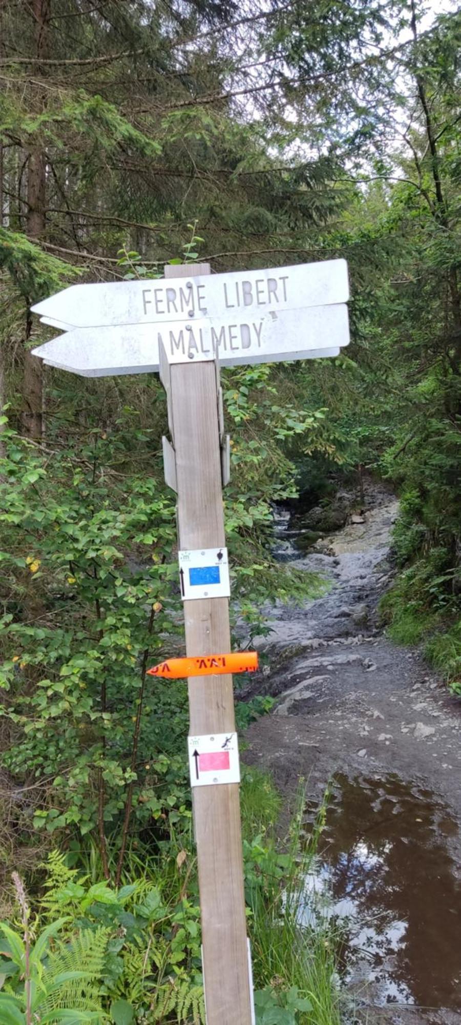 Au Coin De La Cascade Appartement Longfaye Buitenkant foto